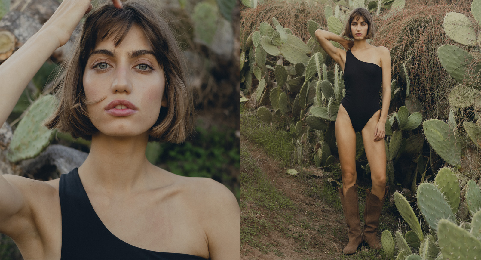 Новинка, ставшая бестселлером